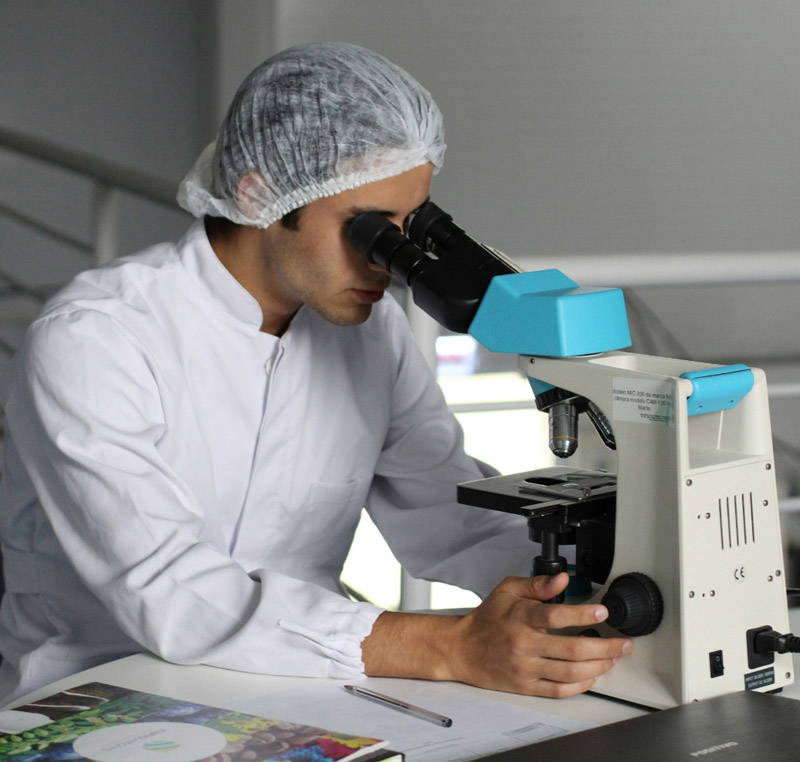 Accommodation for students Studying at the University of Exeter